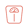 Scale Icon